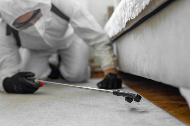 Professional Cockroach Control technician working in Russellville, AL