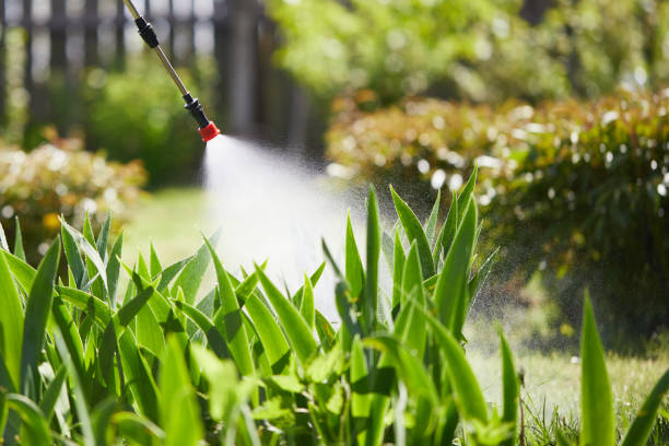 24/7 Emergency Cockroach Control experts in Russellville, AL