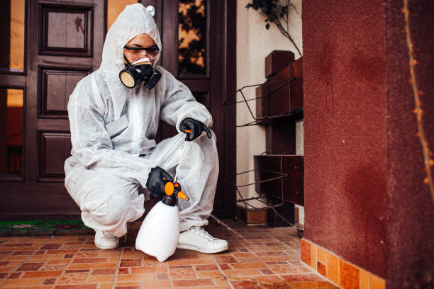 Reliable Cockroach Control contractor in Russellville, AL by Nex Pest Control